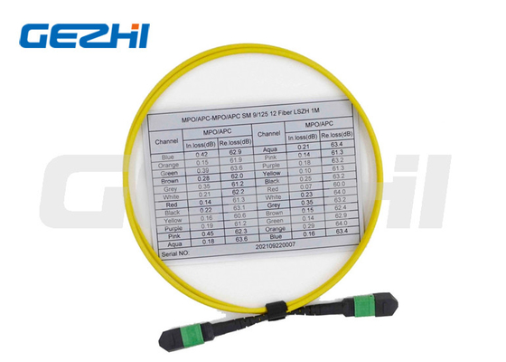 kupować Kabel krosowy 12 światłowodów wielomodowych żeński kabel OS2 9/125 MPO online manufacture