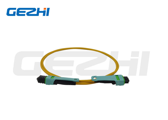 24-rodzaj OS2 Włókno Patch Cord Dostosowane długości dla FTTX / CATV